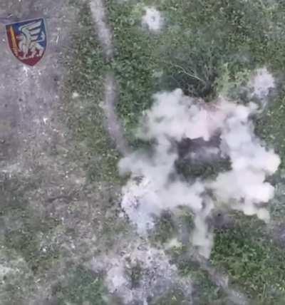 Drone drops on Russians near Bilohorivka by 79th Brigade