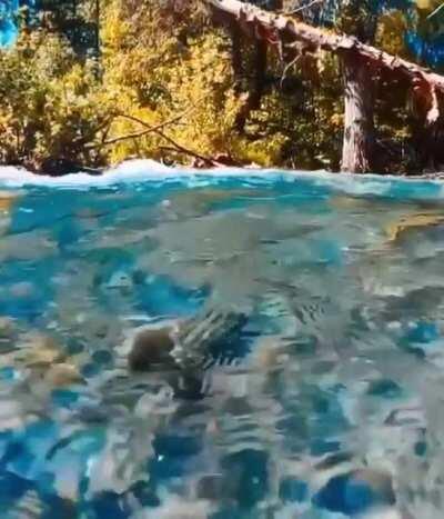 This gorgeously clear river in Alaska