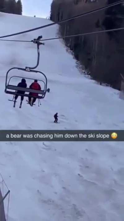 A Skier Outrunning a Bear Down the Slope