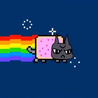 Nyarinder Cat