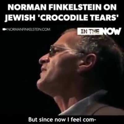 Norman Finkelstein on Palestine-Israel conflict.