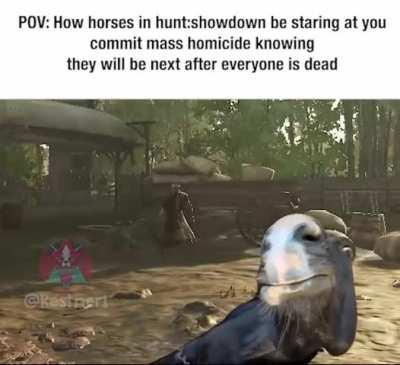 All the horses fear me