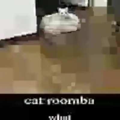 Blursed_roomba