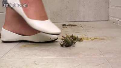 Stella has some fun with crawdads wearing white flats