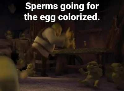 Egg doesn't stand a chance.