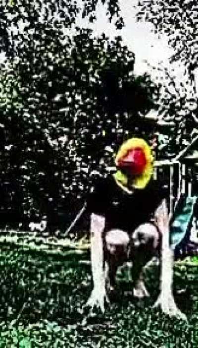 Cursed_duck