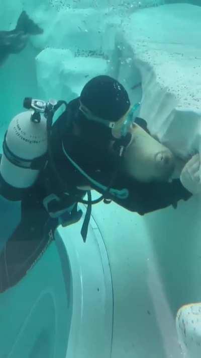 Suction cup to stay in-place during underwater cleaning