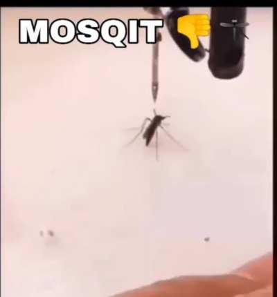 Mosquit 👎🏻