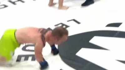 Low kick in the head knockout