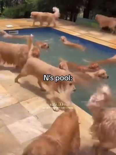 If N had a pool