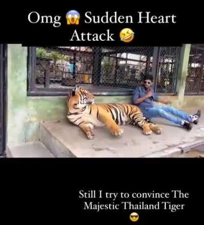 Sudden Heart Attack🤣