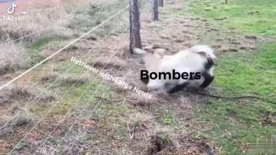 Solo bombers be like