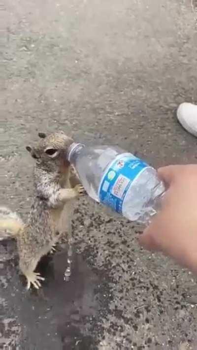 He was THIRSTY!