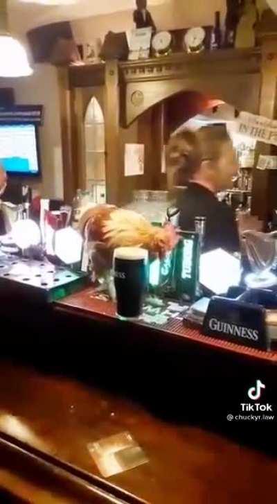 Just another night out in Ireland