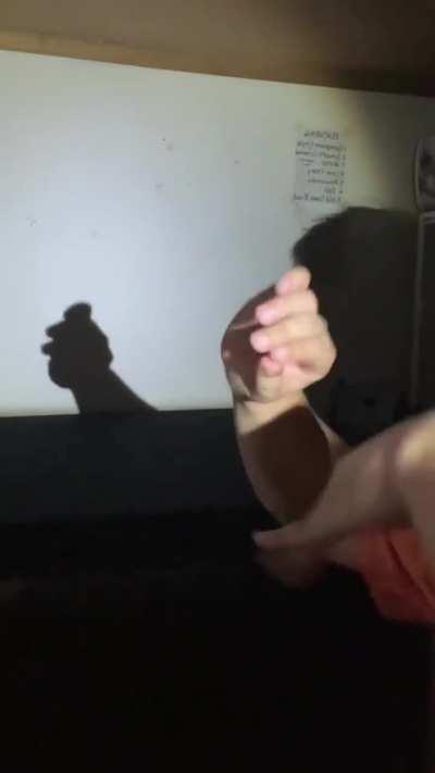 Hand shadow puppets