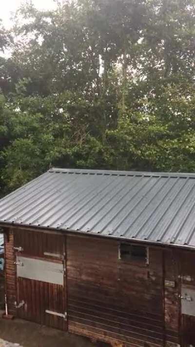 Rain on the new stable roof. Kildare, Ireland