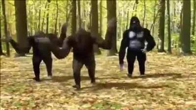 the official chimp event dance