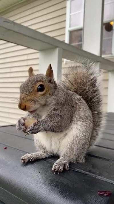 That’s one way to eat a grape