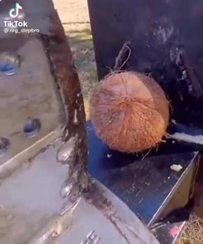 Coconut?