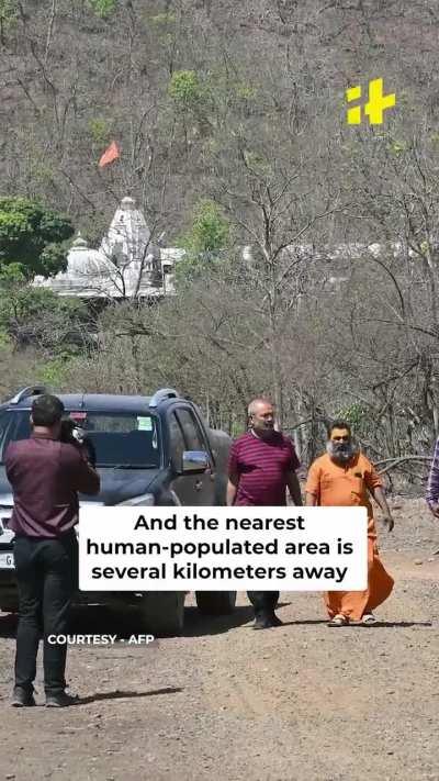 Gujarat Polling Booth Records 100% Turnout As Lone Voter Casts His Vote Deep Inside Gir Forest