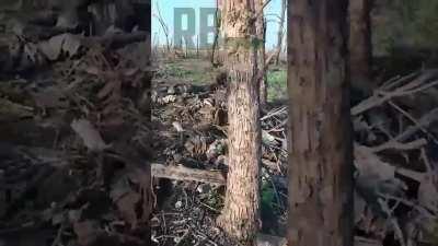 Russian soldier films multiple dead Ukrainian soldiers from the 47th near Berdychi