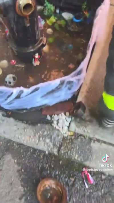 NYFD destroyed the Bedstuy koi pond 