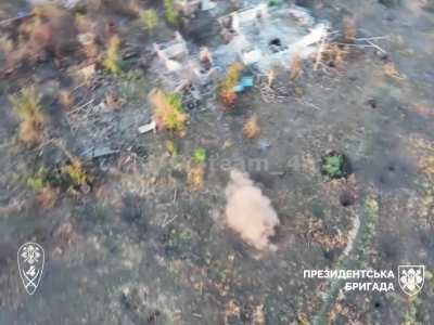 4th mechanized battalion of the Separate Presidential Brigade launch an explosive from a drone with high precision and it impacts an invader directly on the head.