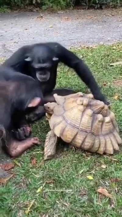 Friends having breakfast