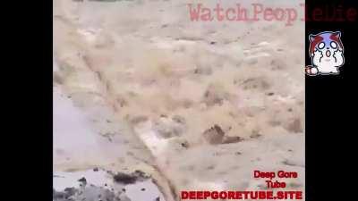 India. Dude tries to cross heavily flooded bridge. 