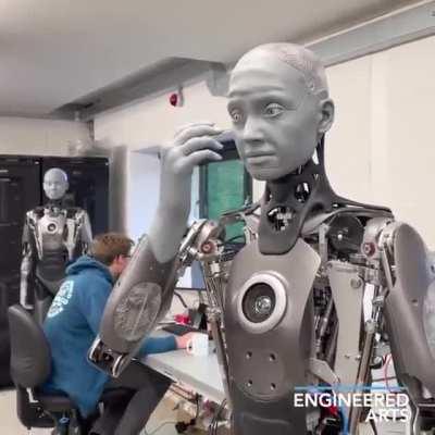 facial movements of this Robot