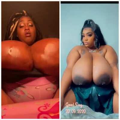 The bbw super tits battle