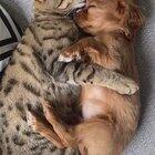 My Heart