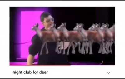 deer