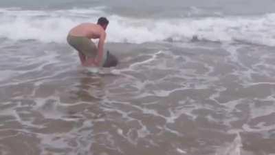 Man saves dolphin on beach.