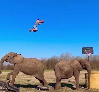 Double elephant dunk