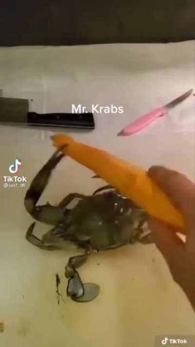 U may now rest in peace Mr Krabs