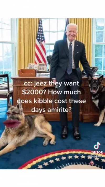 Biden’s dogs are taking over