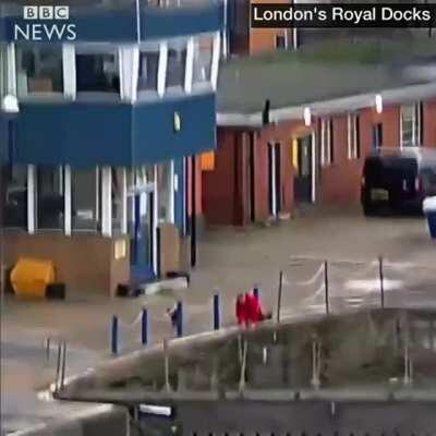 The moment a passerby saved Felix the cat after she fell into the Thames