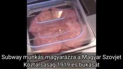 Subway munkás magyarázza a Magyar Szovjet Köztársaság 1919-es bukását