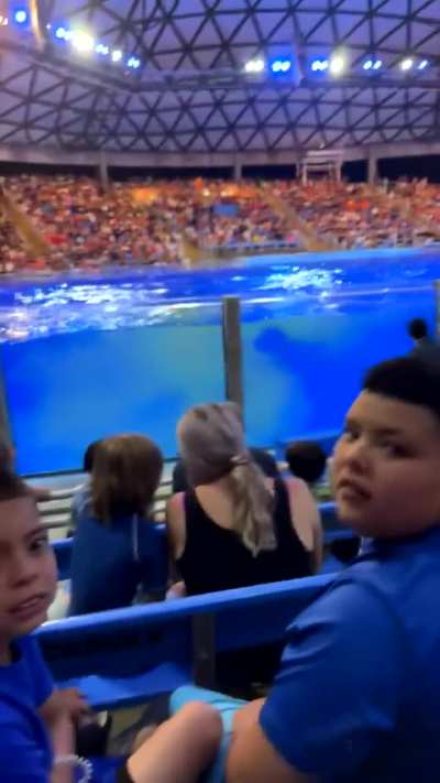 Whale takes a shit at sea world San Antonio, crowd gets splashed immediately after 