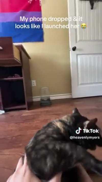 MaN thRoWs CaT ACroSs rOoM