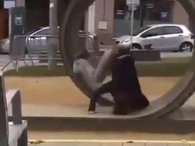 man does loop the loop on skate board