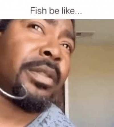 Fishes be like