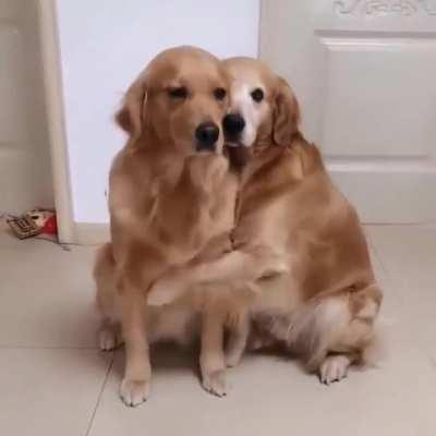 Golden Love And Warm Hugs