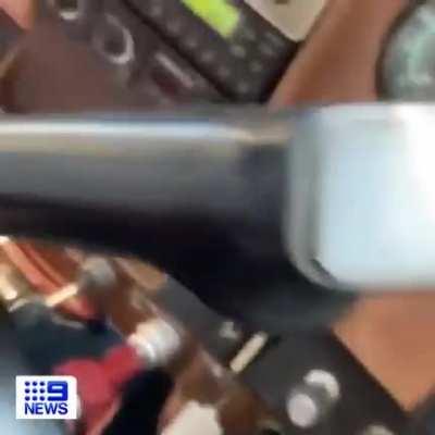 Large spider falls on Australian pilot while he’s landing the plane