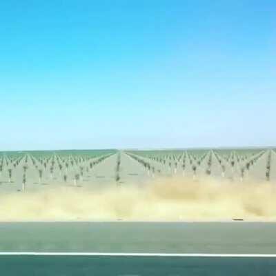 Passing by rows of crops