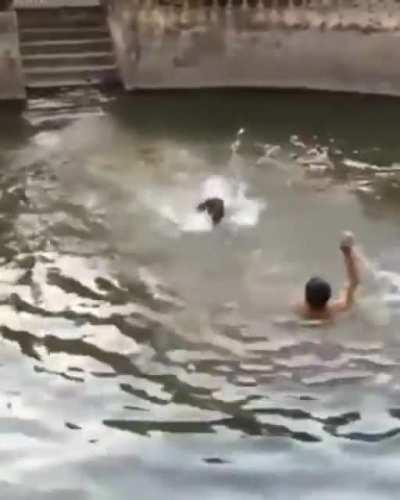 Human Pretends To Drown To See If His Dog Would Save Him