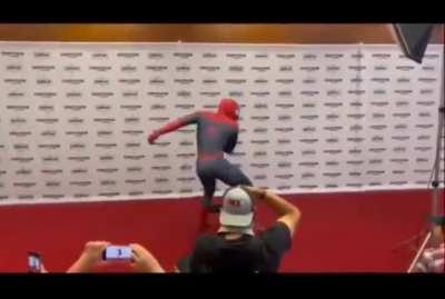 Spider-Man has arrived