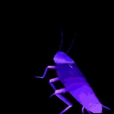 Upvote dancing roach