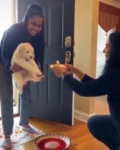 Welcoming Puppy, with traditional Indian Ceremony